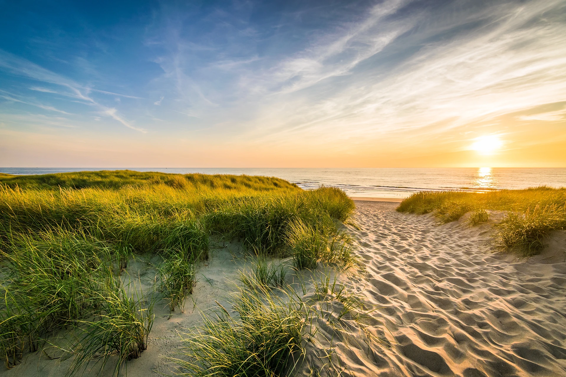 Path through the dunes with beach grass in the evening light on the Baltic beach of Baabe on Rügen