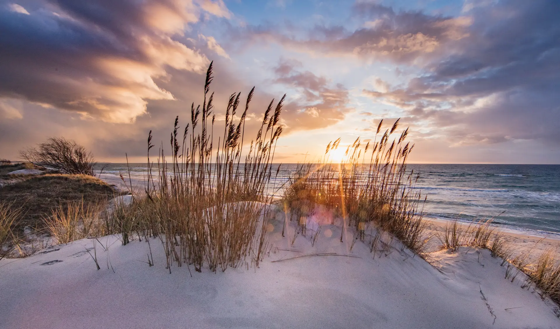 Düne mit Strandhafer am Ostseestrand im Morgenlicht